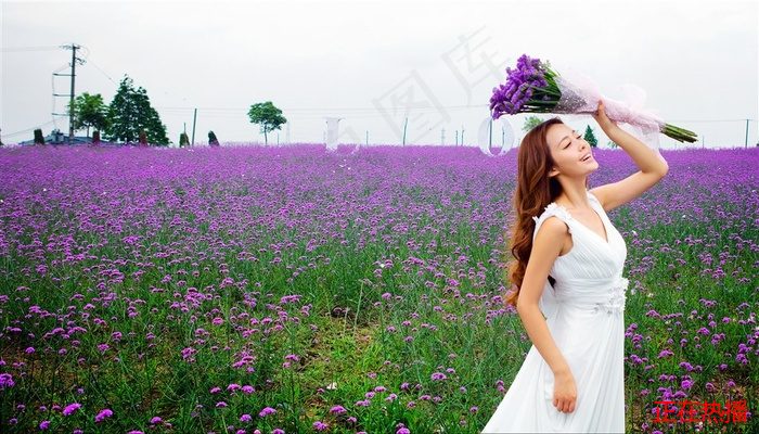 金瓶海之婬乱天在线观看