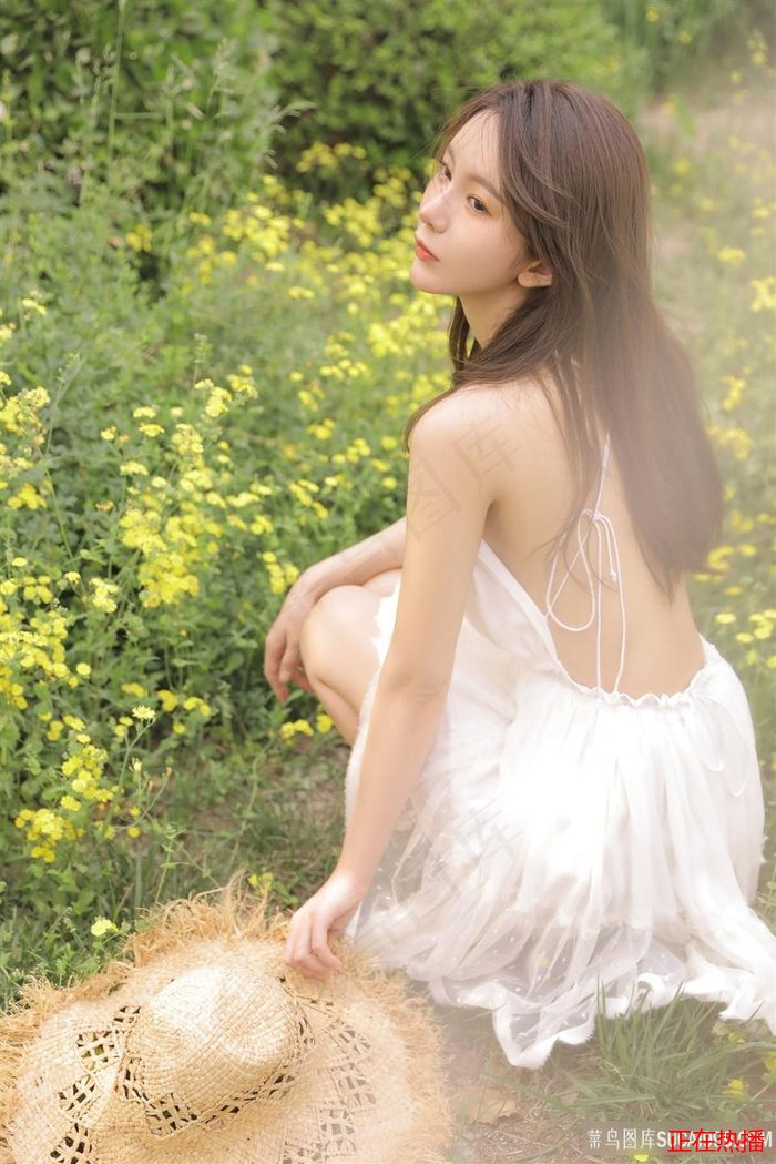超过10季的美剧都有哪些